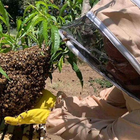 Agriturismo Il Sorbino - Appartamento Da Cocca Pian d'Alma Buitenkant foto