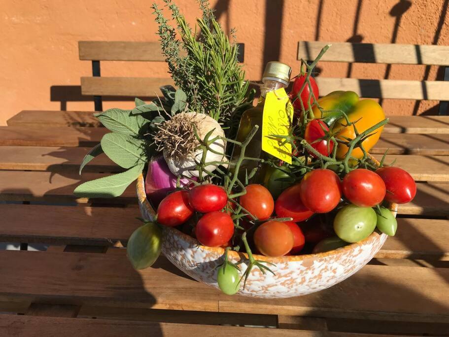 Agriturismo Il Sorbino - Appartamento Da Cocca Pian d'Alma Buitenkant foto