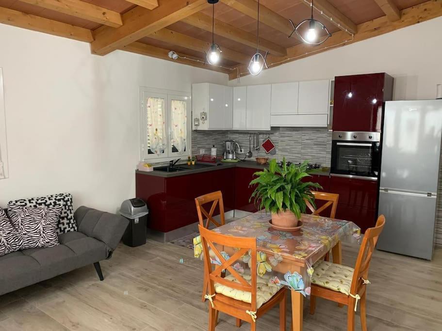 Agriturismo Il Sorbino - Appartamento Da Cocca Pian d'Alma Buitenkant foto