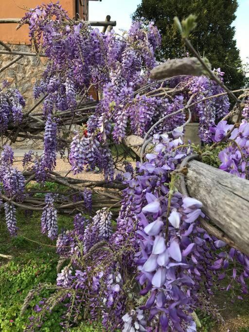 Agriturismo Il Sorbino - Appartamento Da Cocca Pian d'Alma Buitenkant foto