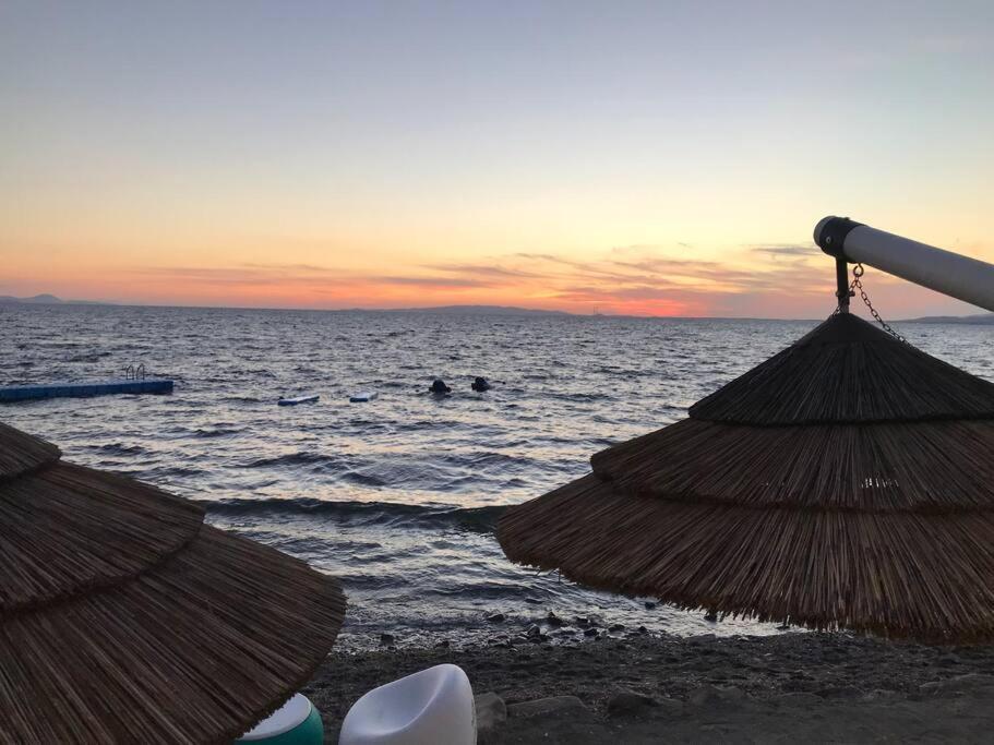 Agriturismo Il Sorbino - Appartamento Da Cocca Pian d'Alma Buitenkant foto