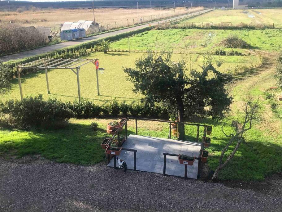Agriturismo Il Sorbino - Appartamento Da Cocca Pian d'Alma Buitenkant foto